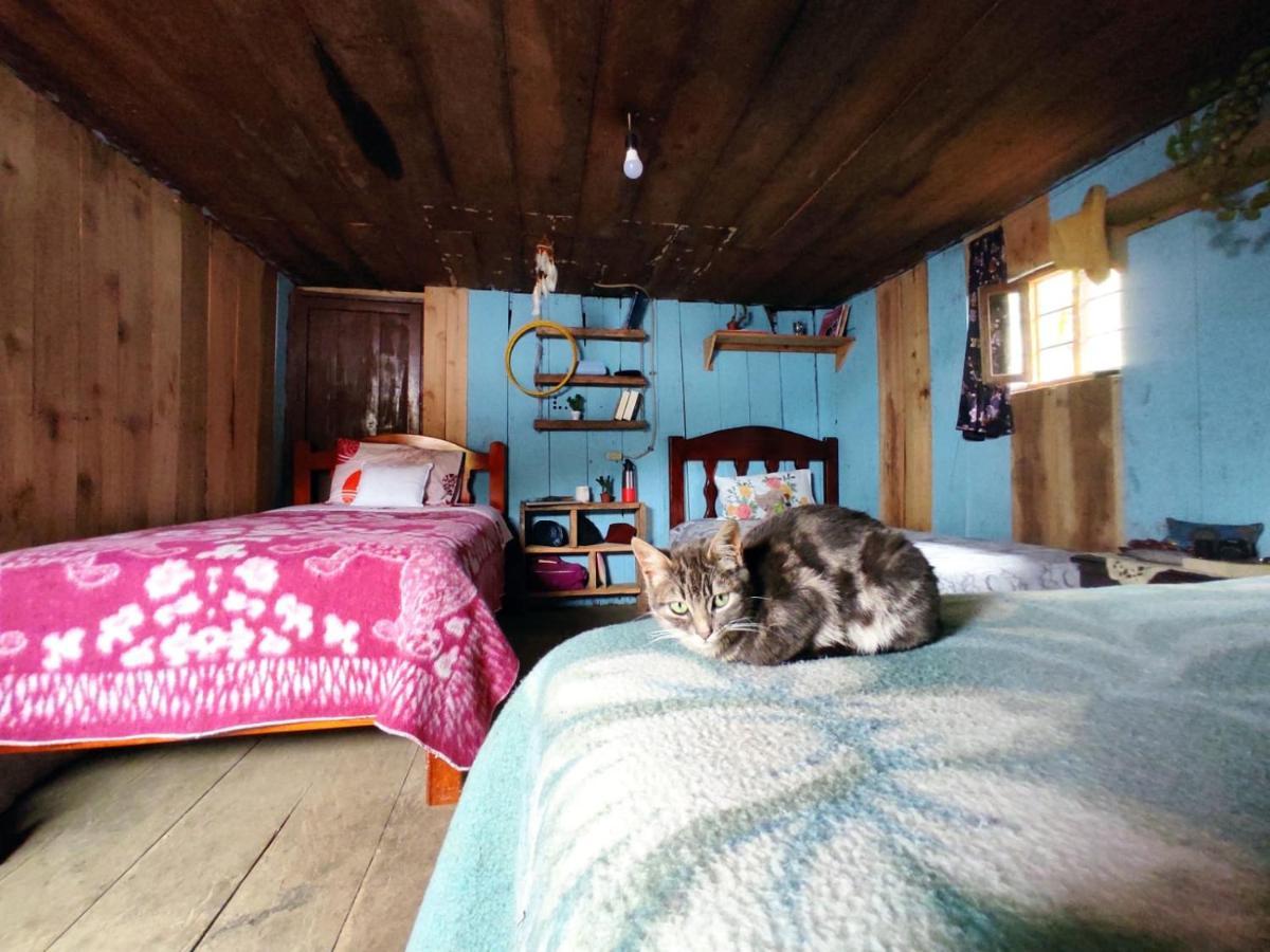 Patricia And Ned'S Cloud Forest Farm Cotacachi Zewnętrze zdjęcie